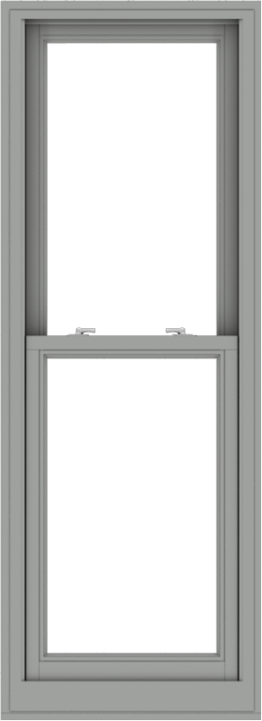 WDMA 24x66 (23.5 x 65.5 inch)  Aluminum Single Double Hung Window without Grids-1