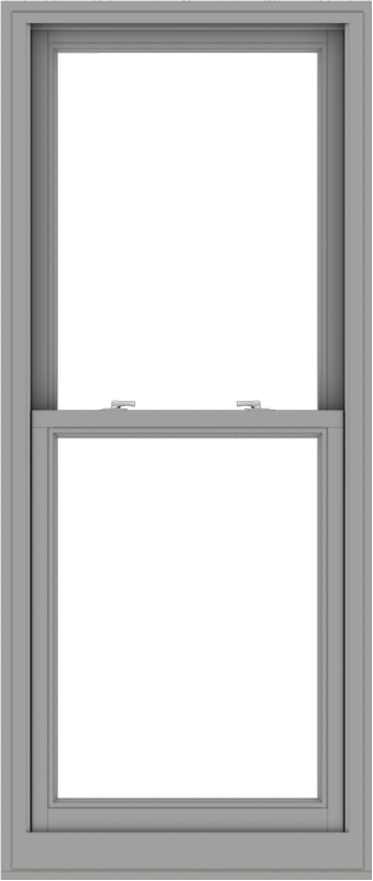 WDMA 28x66 (27.5 x 65.5 inch)  Aluminum Single Double Hung Window without Grids-1