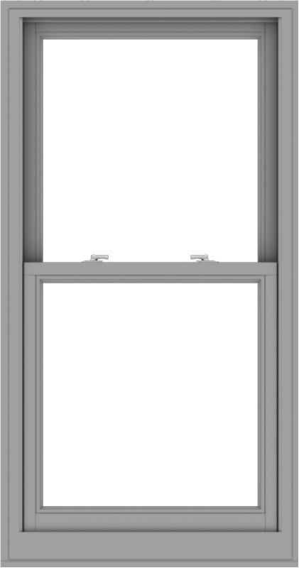 WDMA 30x57 (29.5 x 56.5 inch)  Aluminum Single Double Hung Window without Grids-1