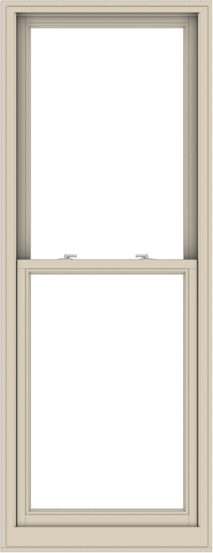 WDMA 30x78 (29.5 x 77.5 inch)  Aluminum Single Hung Double Hung Window without Grids-2