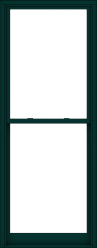 WDMA 40x102 (39.5 x 101.5 inch)  Aluminum Single Hung Double Hung Window without Grids-5