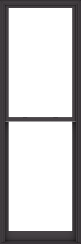 WDMA 40x120 (39.5 x 119.5 inch)  Aluminum Single Hung Double Hung Window without Grids-3
