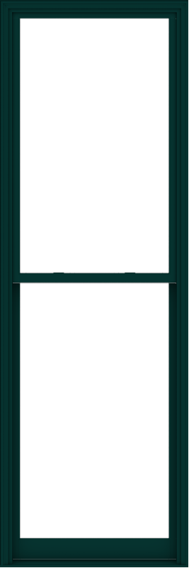WDMA 40x120 (39.5 x 119.5 inch)  Aluminum Single Hung Double Hung Window without Grids-5