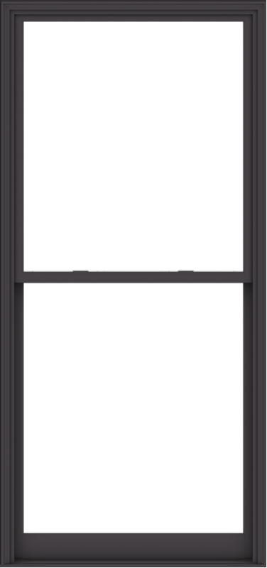 WDMA 48x102 (47.5 x 101.5 inch)  Aluminum Single Hung Double Hung Window without Grids-3