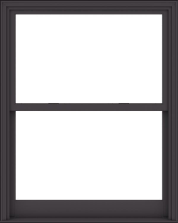 WDMA 48x60 (47.5 x 59.5 inch)  Aluminum Single Hung Double Hung Window without Grids-3