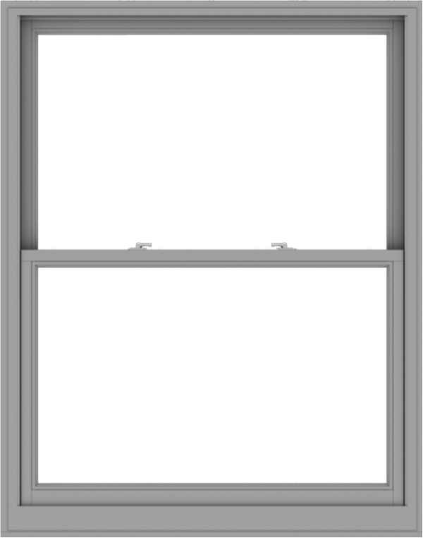 WDMA 48x61 (47.5 x 60.5 inch)  Aluminum Single Double Hung Window without Grids-1