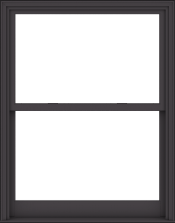WDMA 48x61 (47.5 x 60.5 inch)  Aluminum Single Hung Double Hung Window without Grids-3
