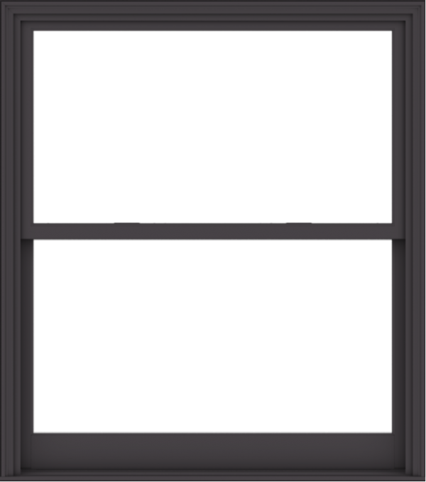 WDMA 54x61 (53.5 x 60.5 inch)  Aluminum Single Hung Double Hung Window without Grids-3