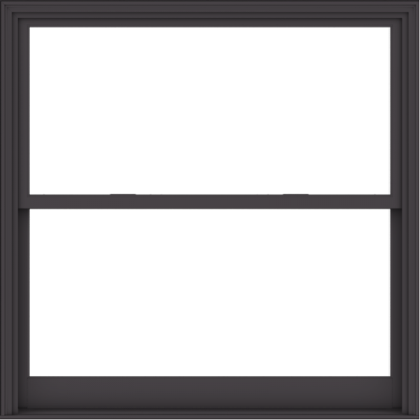 WDMA 60x60 (59.5 x 59.5 inch)  Aluminum Single Hung Double Hung Window without Grids-3