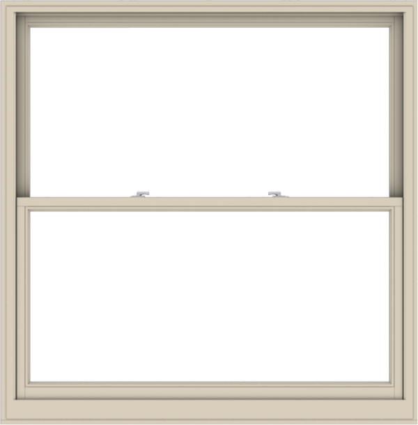 WDMA 60x61 (59.5 x 60.5 inch)  Aluminum Single Hung Double Hung Window without Grids-2