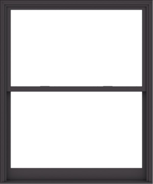 WDMA 60x72 (59.5 x 71.5 inch)  Aluminum Single Hung Double Hung Window without Grids-3