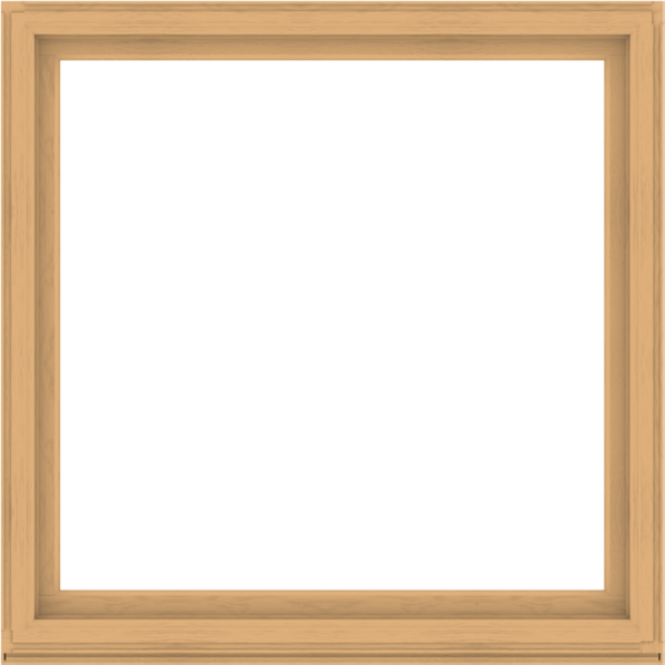 WDMA 64x64 (63.5 x 63.5 inch) Composite Wood Aluminum-Clad Picture Window without Grids-3
