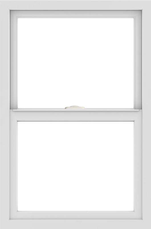WDMA 24x36 (23.5 x 35.5 inch) black uPVC/Vinyl Single and Double Hung Window without grids interior