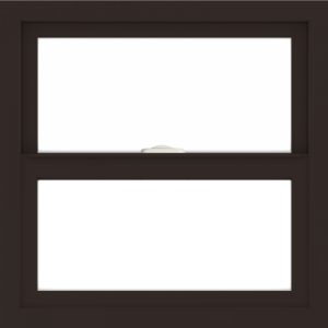 WDMA 24x24 (23.5 x 23.5 inch) Dark Bronze Aluminum Single and Double Hung Window without grids interior