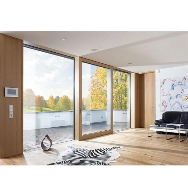China WDMA 6*2.4m Two Panels Aluminum Glass Lift Sliding Door With Effect Wall Decoration