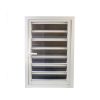 WDMA Window With Glass Shutter